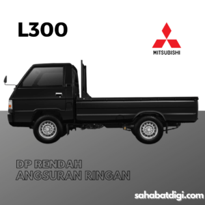 L300
