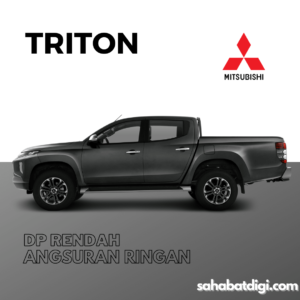 TRITON